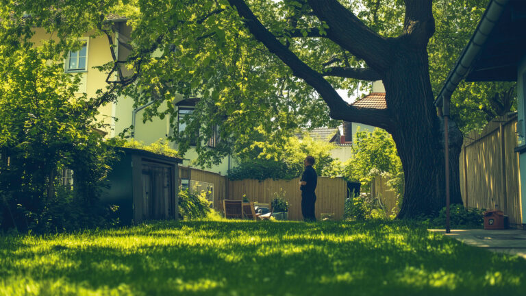 Grenzüberschreitendes Grün: Rechte und Pflichten bei Pflanzen am Nachbargrundstück in Heilbronn